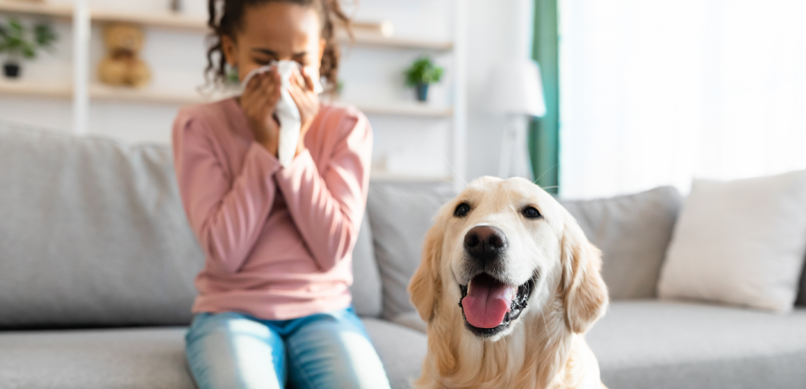 Spring Allergies in Buffalo Prevention and Management Blog Images MHA
