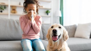 Spring Allergies in Buffalo Prevention and Management Blog Images MHA